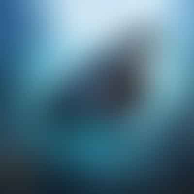 50-foot-megalodon-the-prehistoric-predator-of-the-ocean