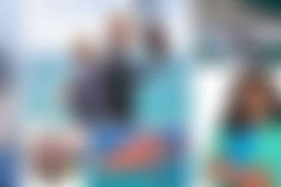 \'Sharkadelic Summer 2\' Shark Week episode