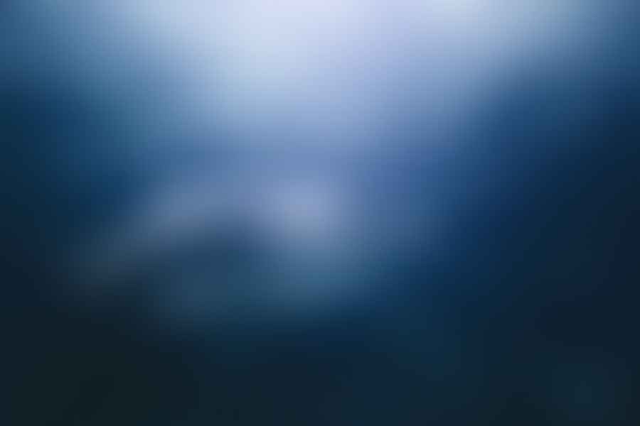 Deep Sea Shark Diving