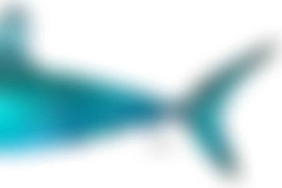 Mako Shark speed