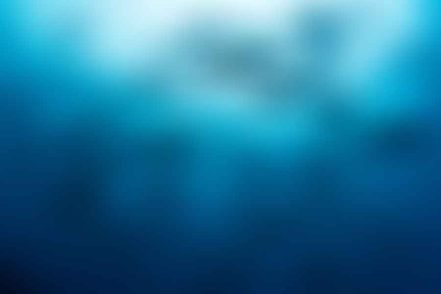 shark diet calcium