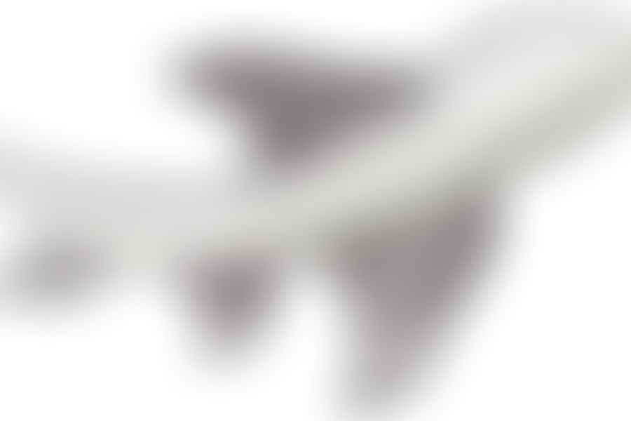 Thresher Shark tail