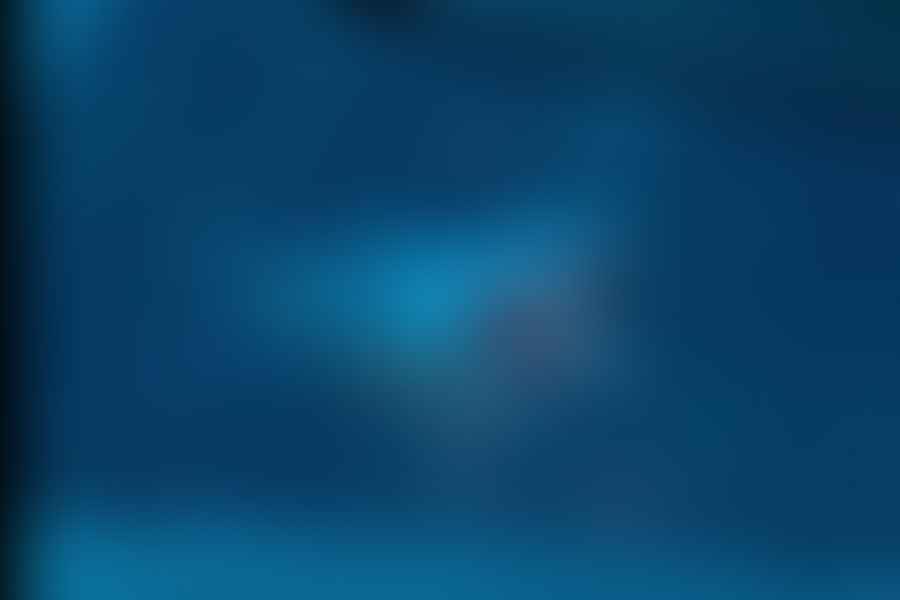 Great White Shark VR app