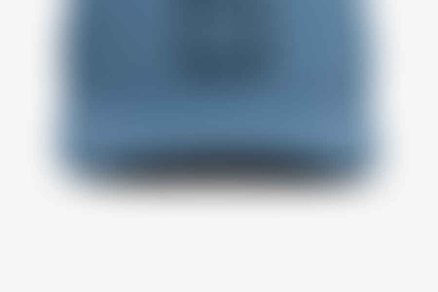 Shark Identifier app interface