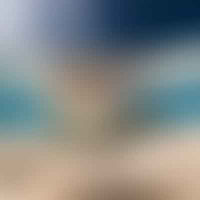 Discover the Sandbar Shark: Life, Habits, and Conservation Status