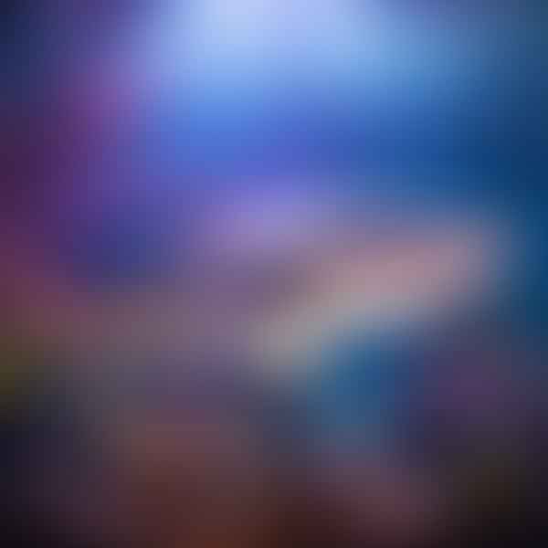 Iridescent Sharks: Unveiling the Secrets of the Aquarium Darling