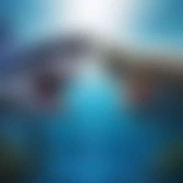 Shark Week 2025 Vs 2023: What to Expect in the Upcoming Seasons