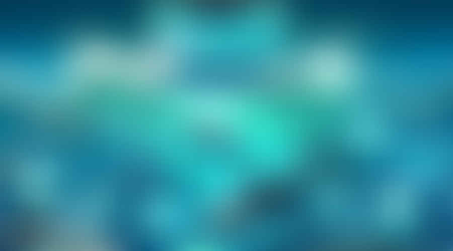 Shark Week on the Go: Finding the Best Mobile Apps for Shark Enthusiasts