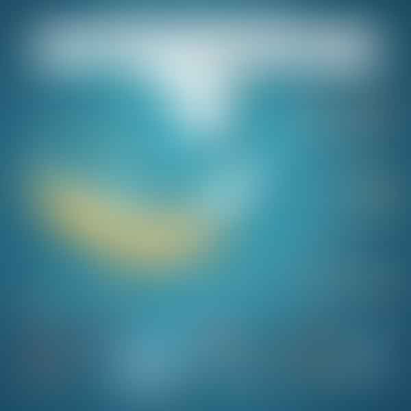 Spotlight on Bahamas Shark Attacks: A Closer Look at Statistics and Safety Measures