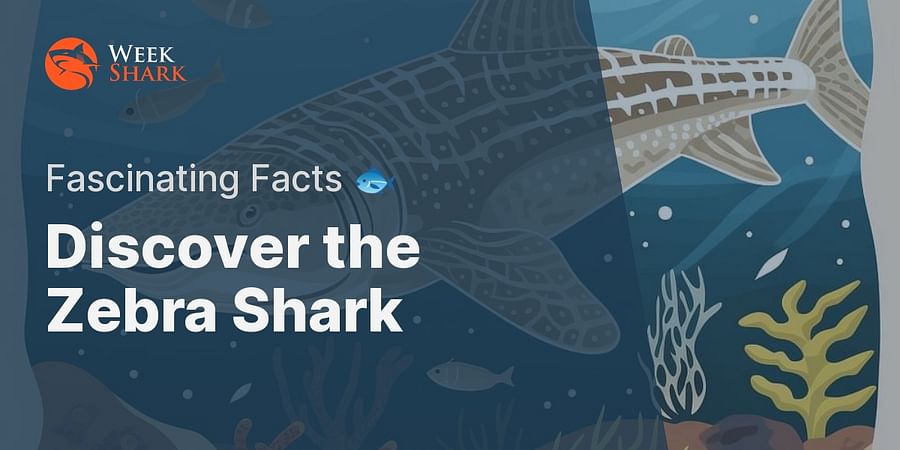 Discover the Zebra Shark - Fascinating Facts 🐟